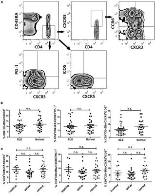 Impact of Corticosteroids on the Proportions of Circulating Tfh Cell Subsets in Patients With Systemic Lupus Erythematous